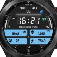 NDAN95 Digital WF 7 Segment